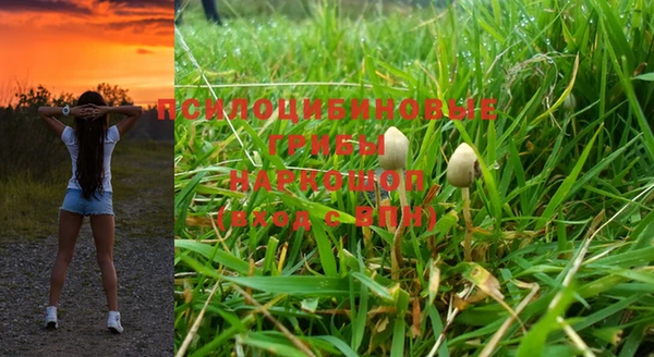 дмт Беломорск