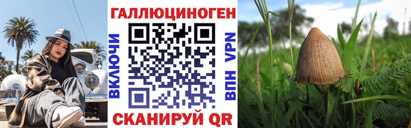 Псилоцибиновые грибы ЛСД Кудымкар